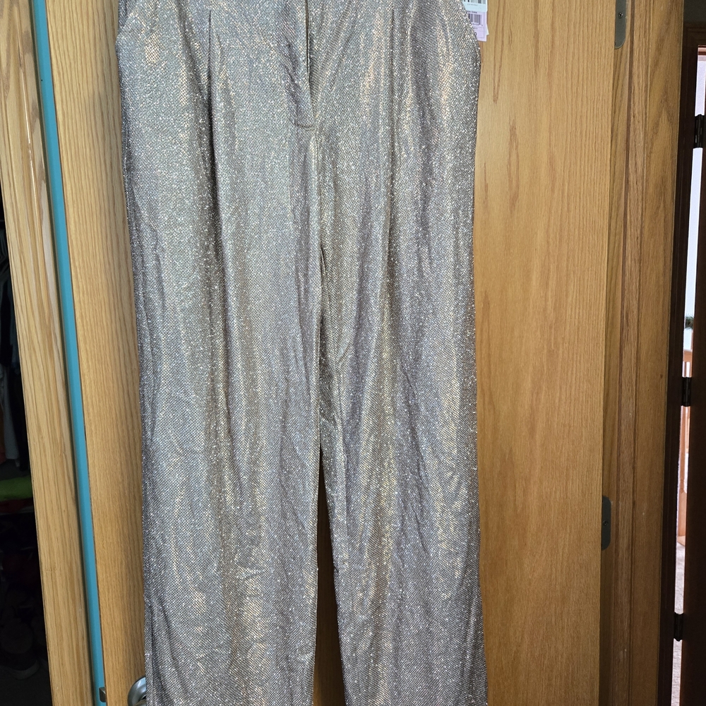 Wild Fable Gold Shimmer Pants